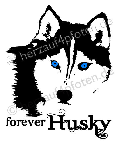 forever Husky Aufkleber 2 farbig