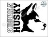 Siberian Husky - Hochwertiger Aufkleber