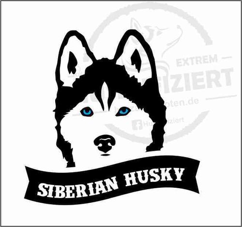 Siberian Husky Aufkleber Plott Blaue Augen